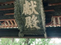 -晋祠公园