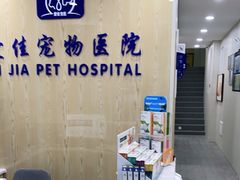 -爱佳宠物中心医院24H·CT·骨外科·猫专科(瑶海万达店)
