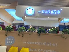-一只酸奶牛(八一路店)