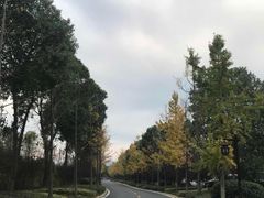 -黄陂区野村谷景区