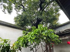 -三坊七巷历史文化街区