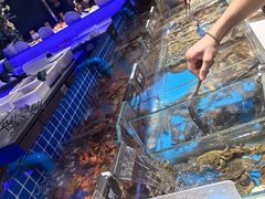 -加餐海鲜自助(宝龙一城店)