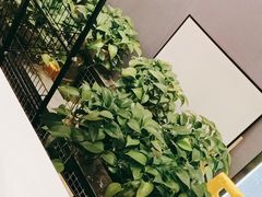 -东方豪客牛排意面披萨(金凤万达店)