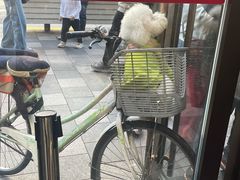 -王家沙点心店(南京西路总店)