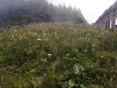 -白草畔自然风景区