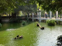 -九龙公园