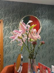 -卡尔诗·科技美肤连锁