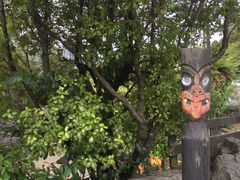 -怀托摩萤火虫洞