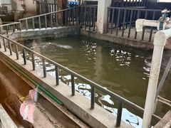 -保定市动物园