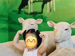 -中国杭州低碳科技馆