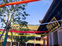 -宝通禅寺