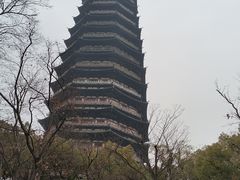 -红梅公园
