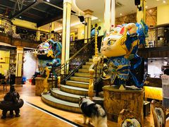 -more than meow吴止猫主题餐厅(承德 中船汇店)