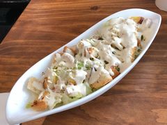 -百好乐宠物友好餐厅(朝外大街店)