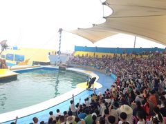 -秦皇岛乐岛海洋王国