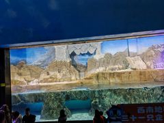 -成都浩海立方海洋公园