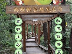-大岭沟猕猴桃谷风景区