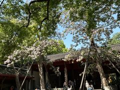 -吴山景区