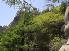 -崂山巨峰游览区