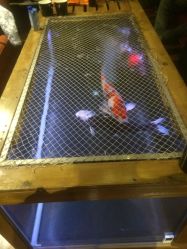 -鳌首刺青纹身 穿孔饰品店