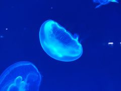 -华夏文旅西安度假区