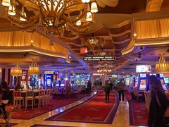 -拉斯维加斯永利酒店