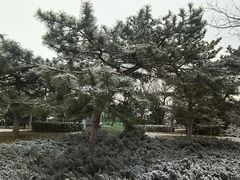 -中国人民抗日战争纪念雕塑园