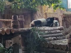 -泉州海丝野生动物世界