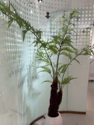 -碧莲盛·脱发养发中心