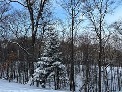 -长白山万达国际滑雪场