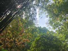 -汇龙潭