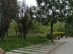 -沐仙湖湿地公园