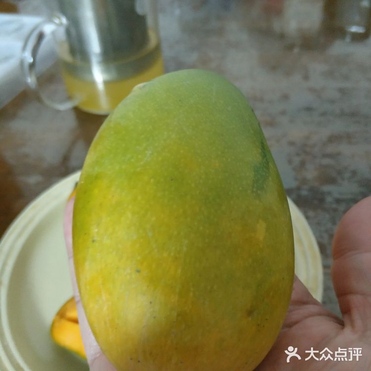 云南西双版纳老品种小芒果