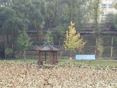 -西南交通大学(峨眉校区)