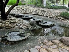 -成都市活水公园