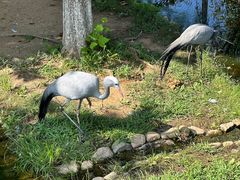 -西霞口神雕山野生动物世界