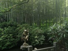 -杭州黄龙洞