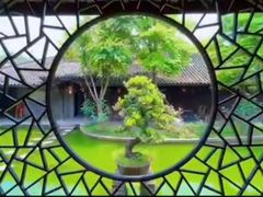 -红瓜子 影视后期 摄影摄像设计 新媒体运营技能培训(宝安校区)