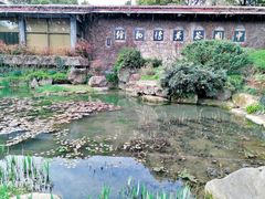 -中国茶叶博物馆(双峰馆区)