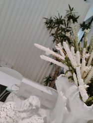 -姜美堂·蒸姜除湿の纤体美颜馆