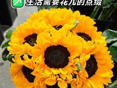 -三圣花乡旅游区