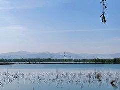 -野鸭湖国家湿地公园