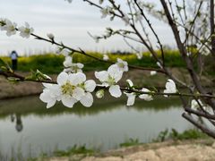 -嘉北郊野公园