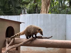 -深圳野生动物园