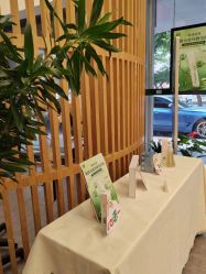 -章光101防脱养发荟