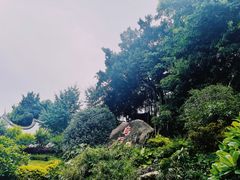 -乌山风景区