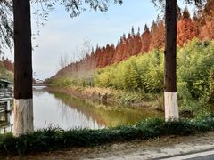 -黄海国家森林公园