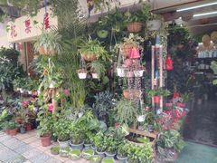 -溪岸路花鸟市场