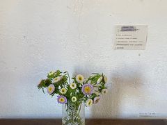 -春风十里咖啡馆