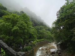 -姑婆山旅游区